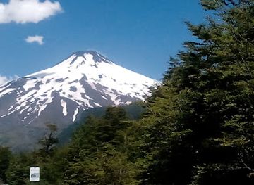 chile/pucon/attraction/enchanted-forest-pucon