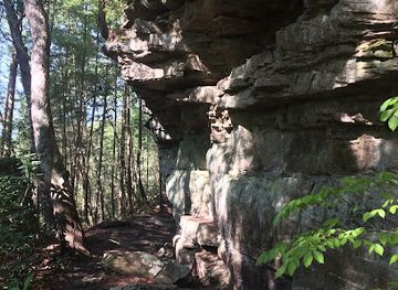 kentucky/sheltowee-trace-national-recreation-trail/attraction/sheltowee-trace-trailhead-section-24-london-district