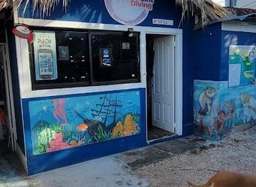 dominican-republic/la-romana/attraction/coral-point-diving