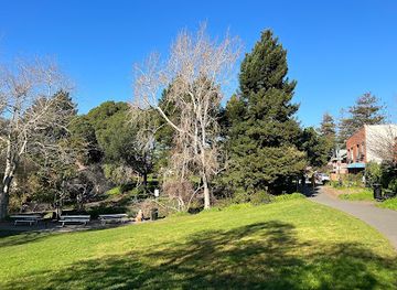 california/berkeley/attraction/strawberry-creek-park