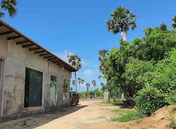 sri-lanka/kilinochchi-district/attraction/palmyrah-resort-pvt-ltd