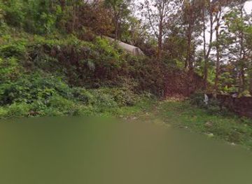 india/mizoram/attraction/paradise-farm-and-resort