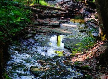 connecticut/gillette-castle-state-park/attraction/chapman-pond-preserve