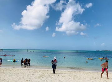 the-bahamas/new-providence/attraction/bahamas-dolphin-adventure