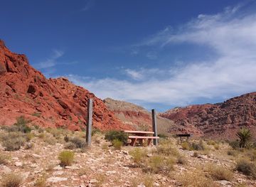 nevada/red-rock-canyon-national-conservation-area/attraction/red-spring-a-desert-oasis