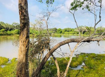 sri-lanka/wilpattu-national-park/attraction/dilum-wilpattu-safari-jeep-service