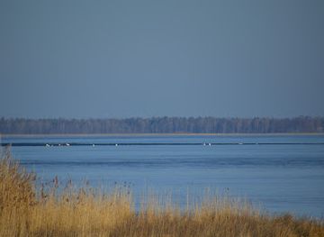 sweden/ostergotland/attraction/takern-nature-reserve