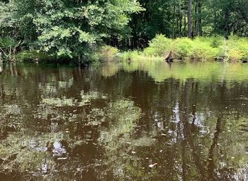 florida/santa-fe-river/attraction/santa-fe-river-rise