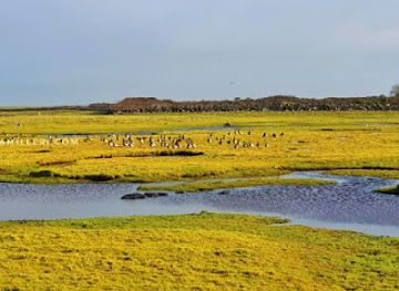 ireland/county-galway/attraction/early-harbor