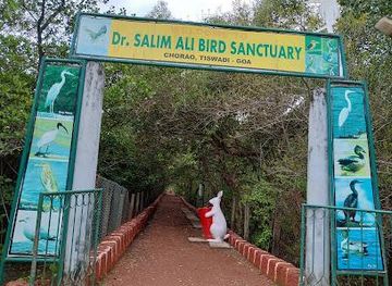 india/goa/attraction/dr-salim-ali-bird-sanctuary