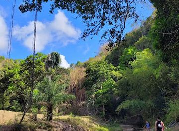 trinidad-and-tobago/tobago/attraction/highland-waterfalls