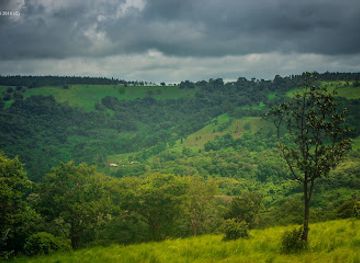 cambodia/mondulkiri-province/attraction/mondulkiri-elephant-wildlife-sanctuary-l-e-a-f-cambodia