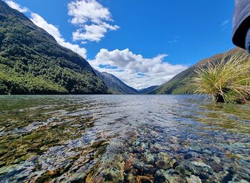 new-zealand/milford-sound/attraction/lake-gunn-nature-walk