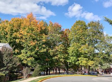 virginia/southwest-virginia/attraction/old-town-alexandria-waterfront