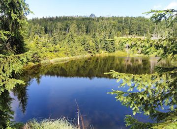 germany/bavarian-forest-national-park/attraction/hirschbachschwelle