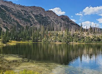 Uinta-Wasatch-Cache National Forest