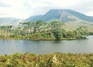 ireland/connemara-national-park/attraction/connemara-region-county-galway