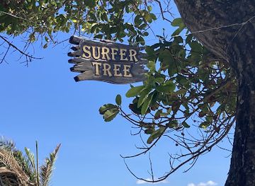 indonesia/bali/kuta/attraction/surfer-tree