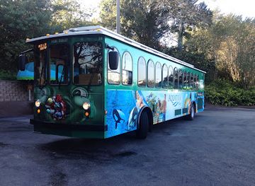 florida/orlando-theme-parks/attraction/i-ride-trolley