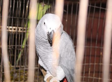 niger/tillaberi-region/attraction/ferme-youyou