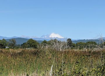 washington/the-skagit-valley/attraction/skagit-wildlife-area-wiley-slough