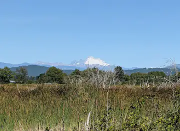 Skagit Wildlife Area-Wiley Slough