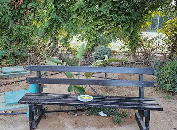 The Bench