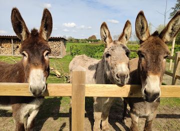 belgium/west-flanders/attraction/humboldt-ezelweide-ezelwandelingen