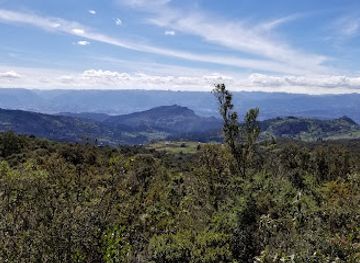 ecuador/azuay-region/attraction/aguarongo-forest