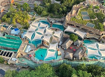 singapore/sentosa/attraction/dolphin-island