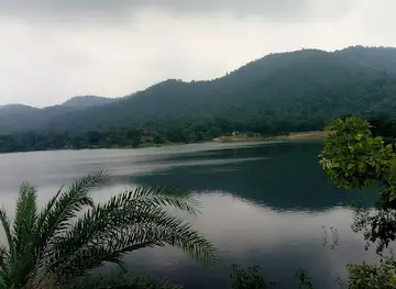 Ratanmahal Sloth Bear Sanctuary