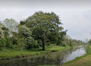 ireland/county-kildare/attraction/bencon-fairy-tree