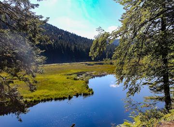 france/vosges-mountains/attraction/lac-de-lispach