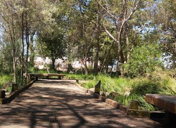 california/campbell/attraction/edith-morley-park