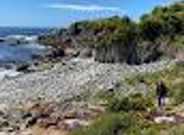 chile/valdivia/attraction/loberia-kaman-mapu