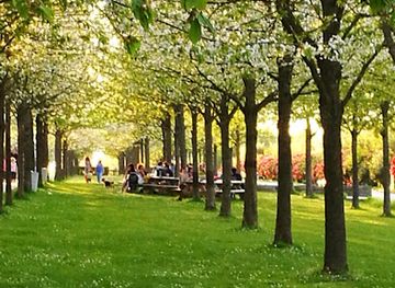 france/rennes/attraction/parc-de-beauregard