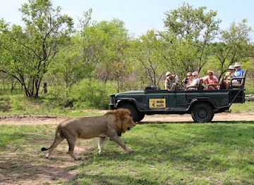 south-africa/kruger-national-park/attraction/mala-mala-game-reserve
