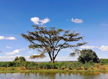 kenya/eldoret/attraction/university-of-eldoret-arboretum