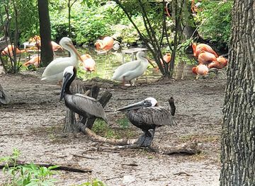 florida/homosassa-springs/attraction/wilderness-park