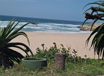 south-africa/wild-coast/attraction/umtamvuna-nature-reserve