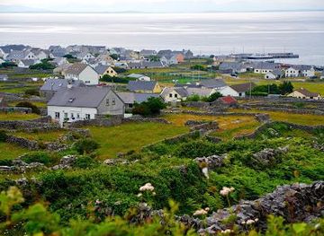 ireland/ennis/attraction/inisheer