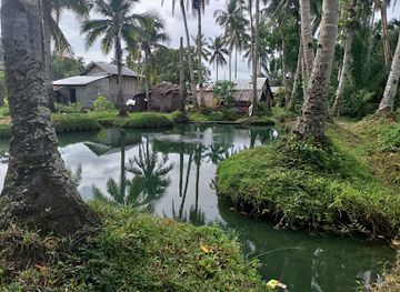 philippines/eastern-visayas/attraction/mapaso-hot-spring