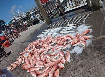 texas/port-aransas/attraction/port-aransas-fishermans-wharf