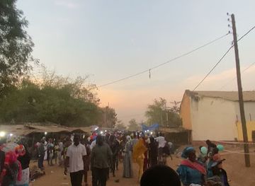 mali/segou/attraction/festival-sur-le-niger-segou
