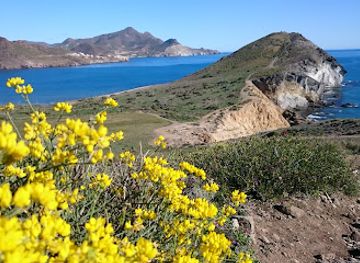 spain/cabo-de-gata/attraction/genovese-beach-fossilised-dune