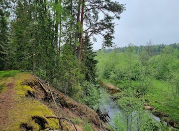 estonia/lahemaa/attraction/kolgakula-terviserajad