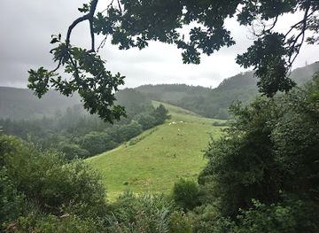 spain/cantabria/attraction/cueva-el-pendo