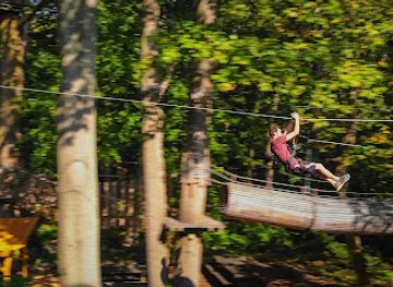 connecticut/tolland-county/attraction/the-adventure-park-at-storrs