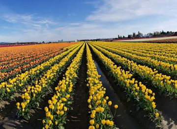 washington/the-skagit-valley/attraction/gordon-skagit-farms