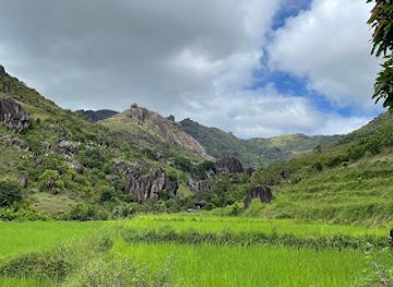 madagascar/atsimo-atsinanana/attraction/nahampoana-reserve